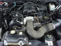 2005 Black Ford Mustang V6 Premium Convertible  photo #22