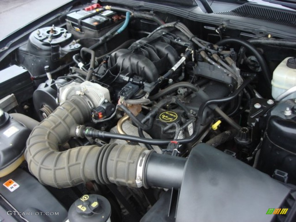 2005 Mustang V6 Premium Convertible - Black / Dark Charcoal photo #23