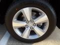 Polished Metal Metallic - MDX SH-AWD Technology Photo No. 12