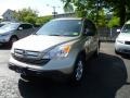 2007 Borrego Beige Metallic Honda CR-V EX 4WD  photo #1