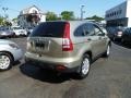 2007 Borrego Beige Metallic Honda CR-V EX 4WD  photo #3