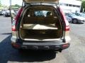 2007 Borrego Beige Metallic Honda CR-V EX 4WD  photo #9