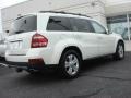 Arctic White - GL 450 4Matic Photo No. 4