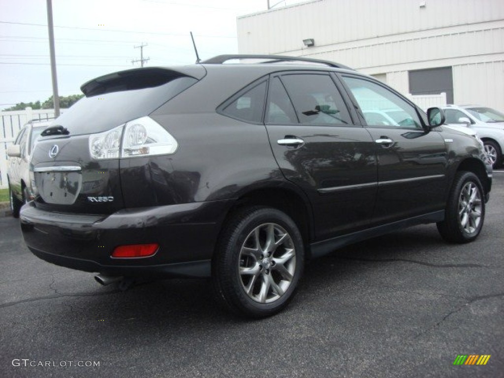 2009 RX 350 AWD Pebble Beach Edition - Smokey Granite / Parchment photo #3