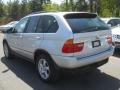 2002 Titanium Silver Metallic BMW X5 4.4i  photo #14