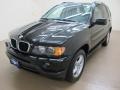 Jet Black - X5 3.0i Photo No. 4