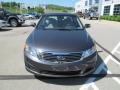 Platinum Graphite - Optima LX Photo No. 4