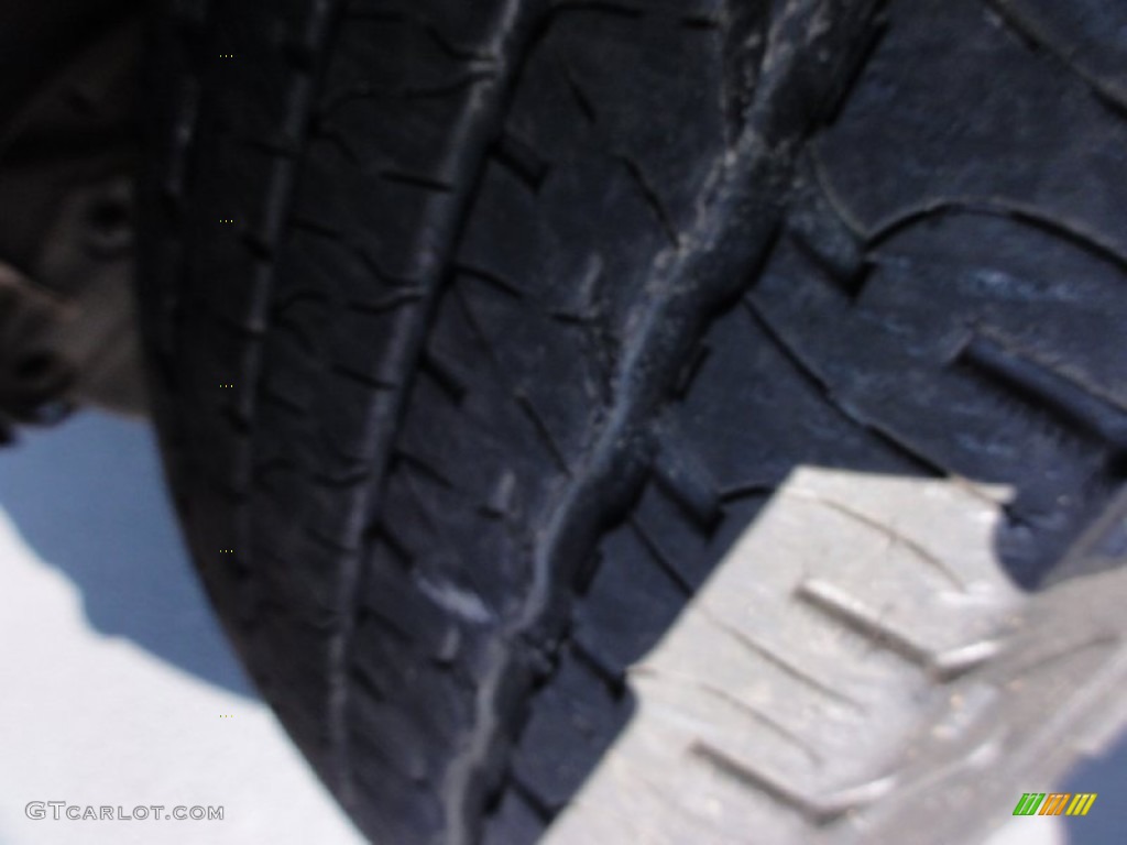 2002 Navigator Luxury 4x4 - Laser Red Tinted Metallic / Medium Parchment photo #34