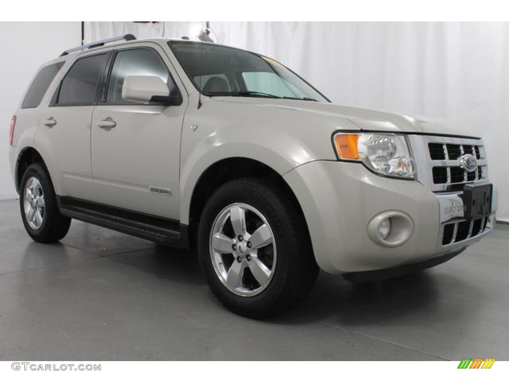 Light Sage Metallic 2008 Ford Escape Limited 4WD Exterior Photo #65403570