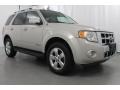 Light Sage Metallic 2008 Ford Escape Limited 4WD Exterior