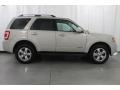 Light Sage Metallic 2008 Ford Escape Limited 4WD Exterior