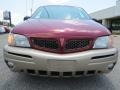 2004 Sport Red Metallic Pontiac Montana MontanaVision  photo #2