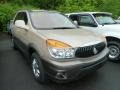 Light Driftwood Metallic 2003 Buick Rendezvous CXL