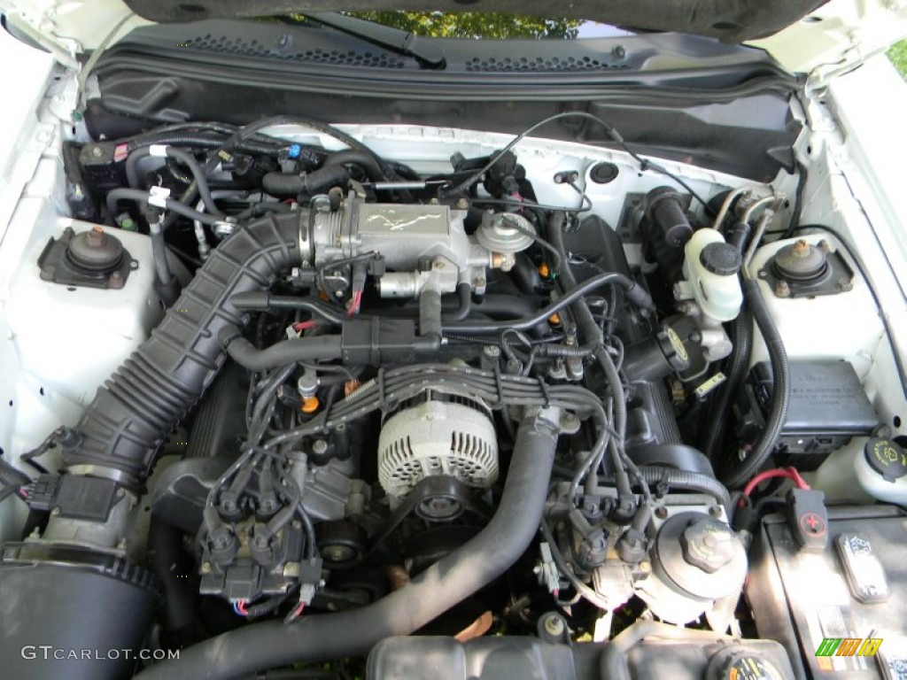 1998 Ford Mustang GT Convertible 4.6 Liter SOHC 16-Valve V8 Engine Photo #65413385