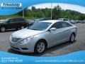 Radiant Silver - Sonata GLS Photo No. 3