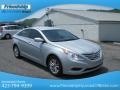 Radiant Silver - Sonata GLS Photo No. 5