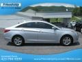 Radiant Silver - Sonata GLS Photo No. 6