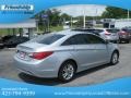 Radiant Silver - Sonata GLS Photo No. 7