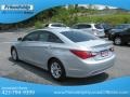Radiant Silver - Sonata GLS Photo No. 9