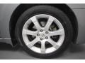 Precision Gray Metallic - Maxima 3.5 SE Photo No. 9