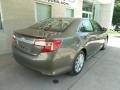 Cypress Green Pearl - Camry XLE Photo No. 2