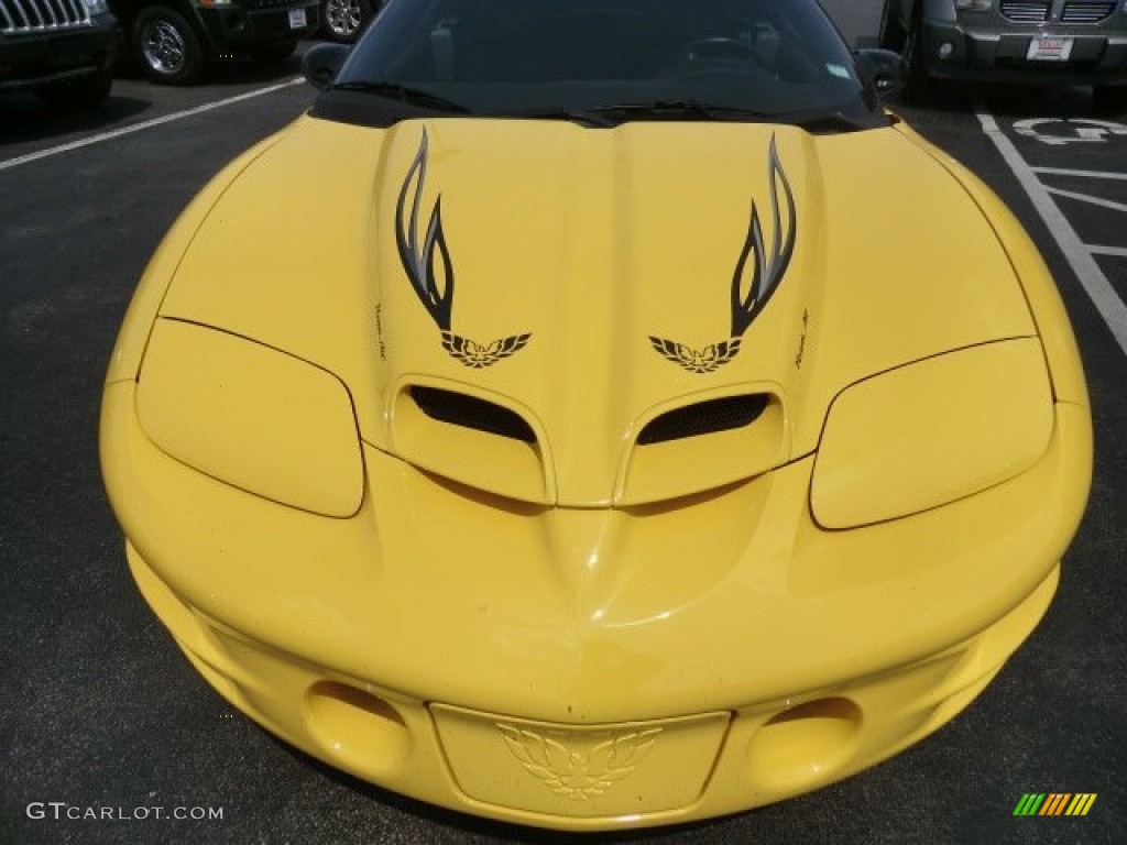 Collector Edition Yellow 2002 Pontiac Firebird Trans Am WS-6 Convertible Exterior Photo #65422437