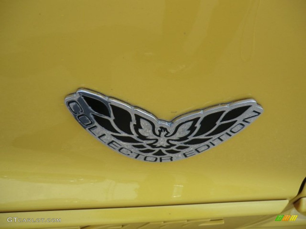 2002 Pontiac Firebird Trans Am WS-6 Convertible Marks and Logos Photo #65422455