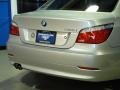 2009 Titanium Silver Metallic BMW 5 Series 528xi Sedan  photo #8