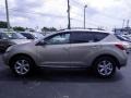 2009 Tinted Bronze Metallic Nissan Murano SL  photo #6