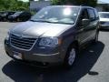 2010 Dark Titanium Metallic Chrysler Town & Country Touring  photo #1
