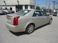 Gold Mist - CTS Sedan Photo No. 6