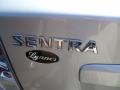 Brilliant Silver - Sentra 2.0 S Photo No. 4