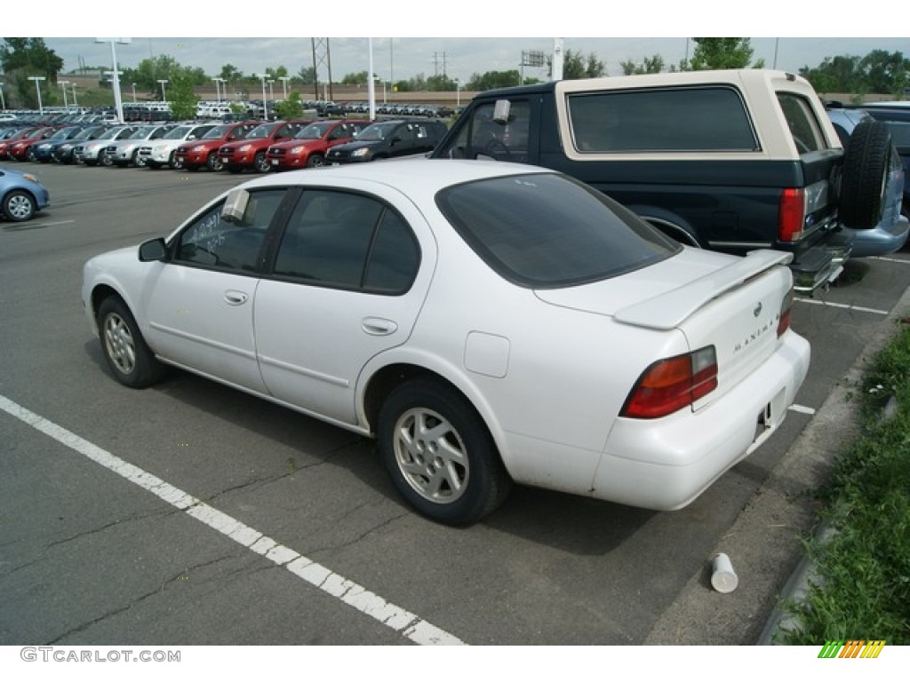 1996 Maxima GXE - Arctic White Pearl / Gray photo #3