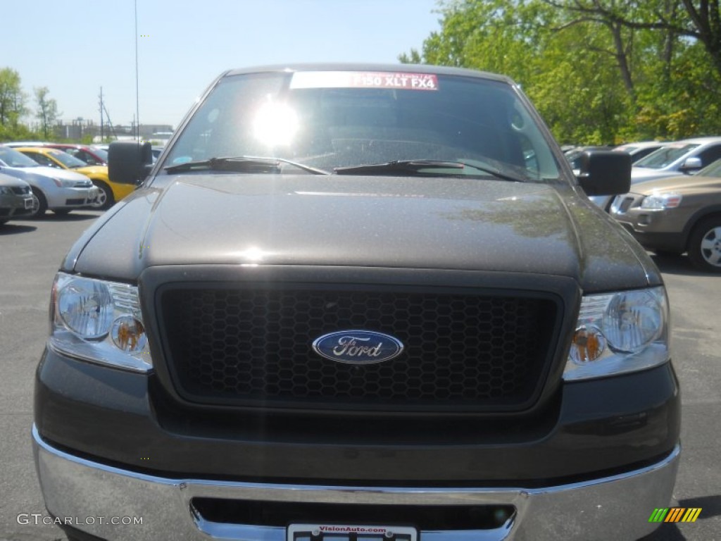 2006 F150 FX4 SuperCab 4x4 - Dark Shadow Grey Metallic / Medium/Dark Flint photo #15