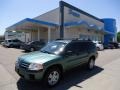 2005 Machine Green Metallic Mitsubishi Endeavor LS AWD #65412246