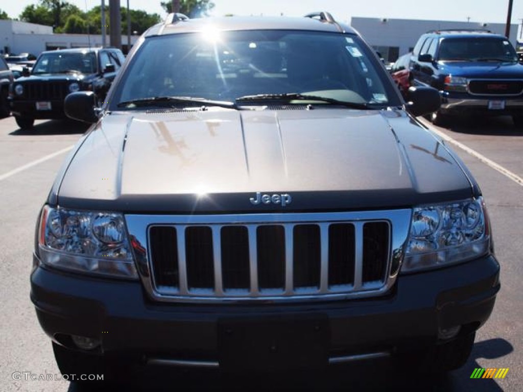2004 Grand Cherokee Limited 4x4 - Graphite Metallic / Taupe photo #7