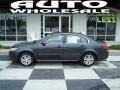 Platinum Graphite - Optima LX Photo No. 1