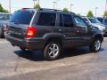 2004 Graphite Metallic Jeep Grand Cherokee Limited 4x4  photo #3