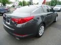 Platinum Graphite - Optima LX Photo No. 5