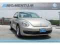 Moonrock Silver Metallic - Beetle 2.5L Photo No. 1
