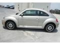 Moonrock Silver Metallic - Beetle 2.5L Photo No. 4