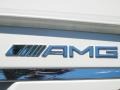 2012 Mercedes-Benz CLS 63 AMG Badge and Logo Photo