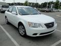 Pearl White - Sonata GLS Photo No. 36