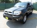 2008 Galactic Gray Mica Toyota 4Runner SR5  photo #7