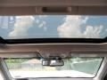 Magnetic Gray Metallic - Camry Hybrid XLE Photo No. 27