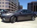 Grigio Metallic 2010 Acura TL 3.7 SH-AWD