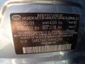 WG: Medium Silver Blue 2010 Hyundai Sonata GLS Color Code