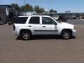 Summit White - TrailBlazer LS 4x4 Photo No. 6