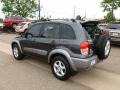 2003 Graphite Gray Pearl Toyota RAV4 4WD  photo #6