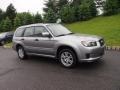 Steel Silver Metallic - Forester 2.5 X Sports Photo No. 1
